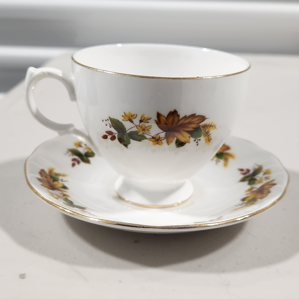 Queen Anne, Teacup & Saucer with Gold Trim and Autumn Floral